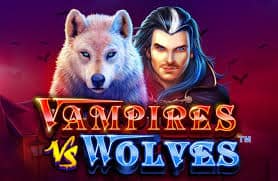Vampires vs Wolves